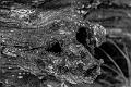 2019_10_14 (0060)